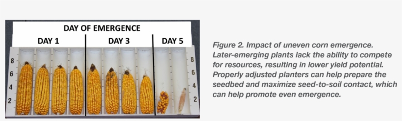 What Does This Mean For Your Farm, transparent png download