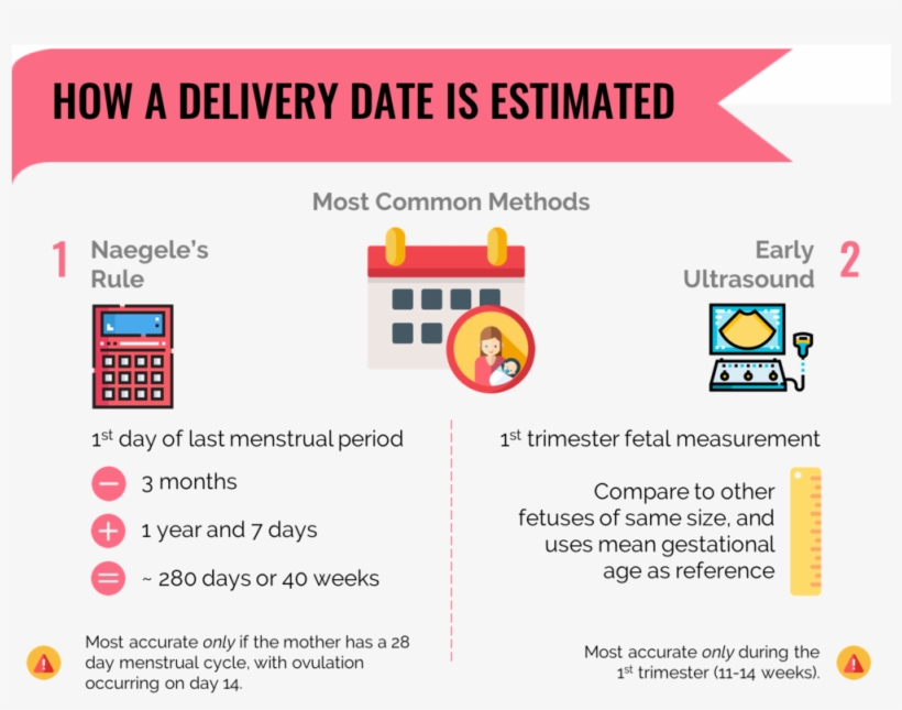 How Estimate Delivery Date - Web Page, transparent png download