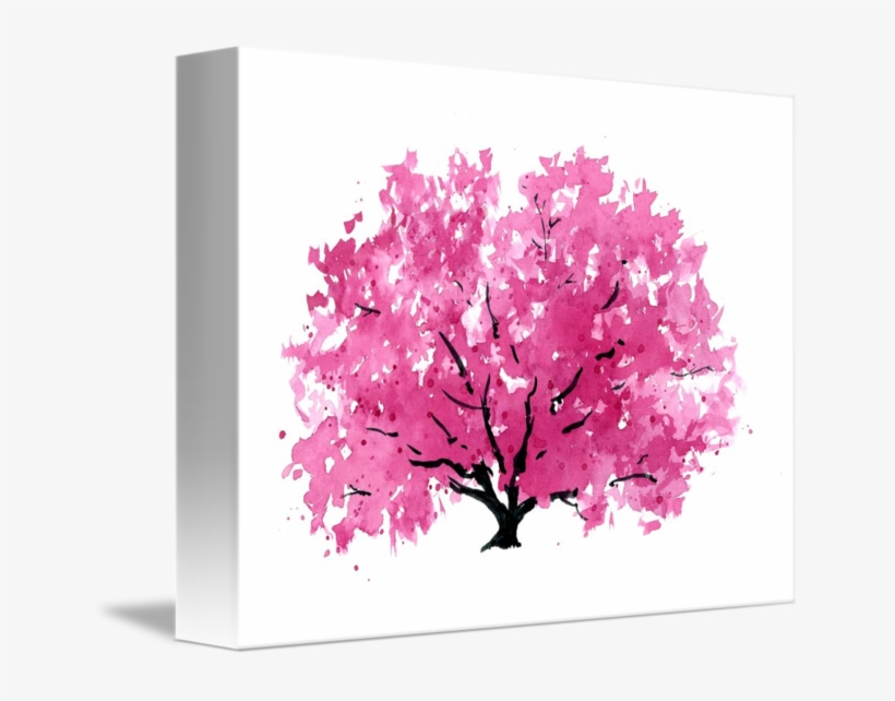 Magnolia Tree Png - Cherry Blossom, transparent png download