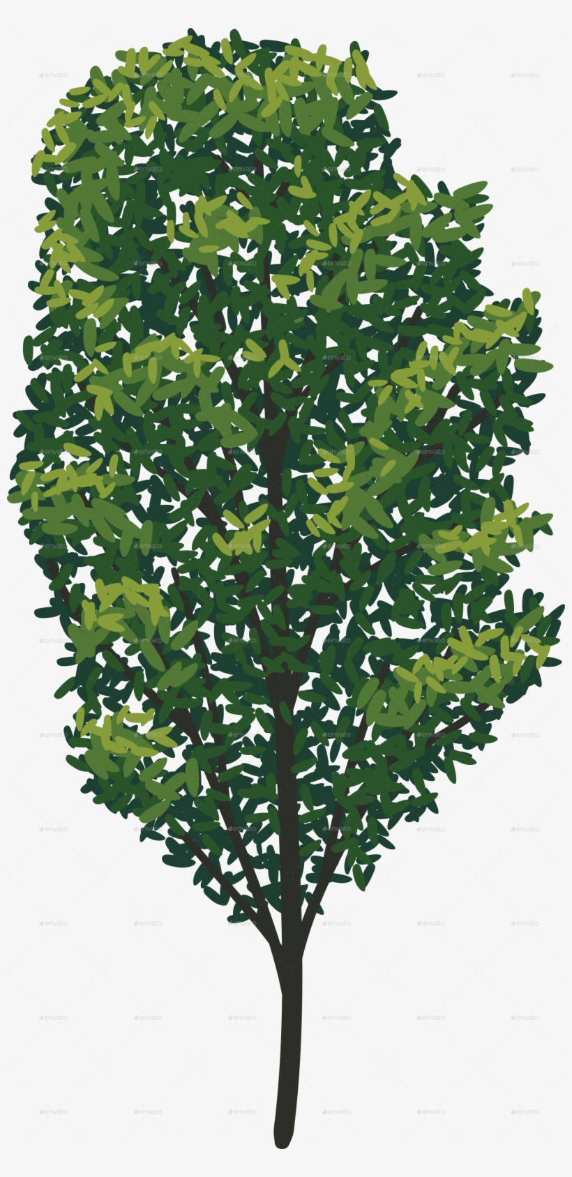 Tree 15 No Stroke - American Holly, transparent png download