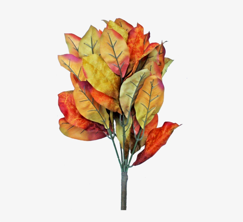 21" Magnolia Leaves - Autumn, transparent png download