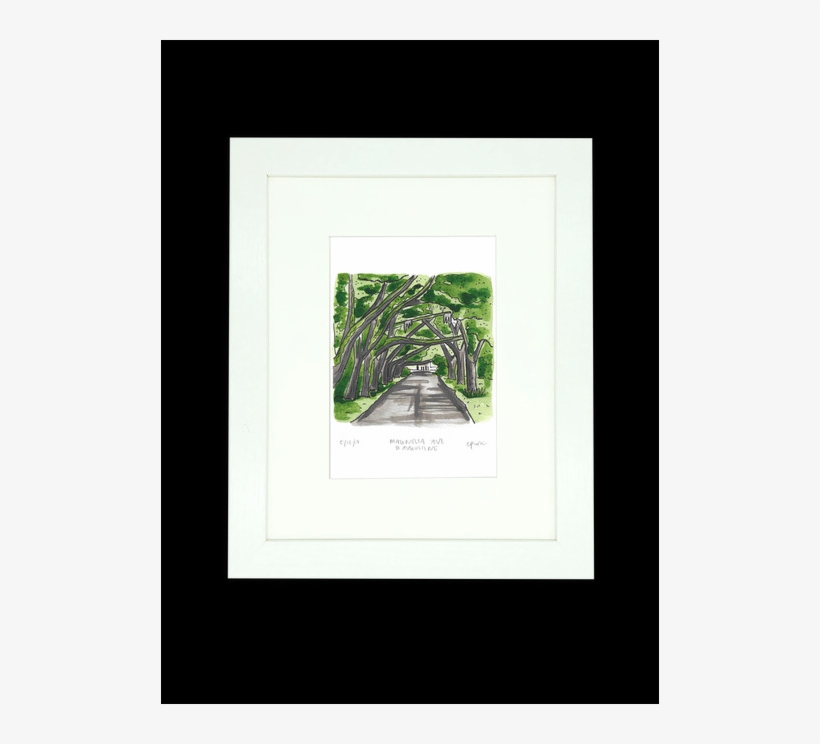 If You Haven't Made The Drive Under The Amazing Canopy - Picture Frame, transparent png download