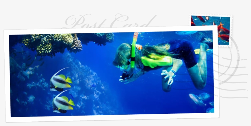 Thursday - Tunnels Beach Hawaii Snorkeling, transparent png download