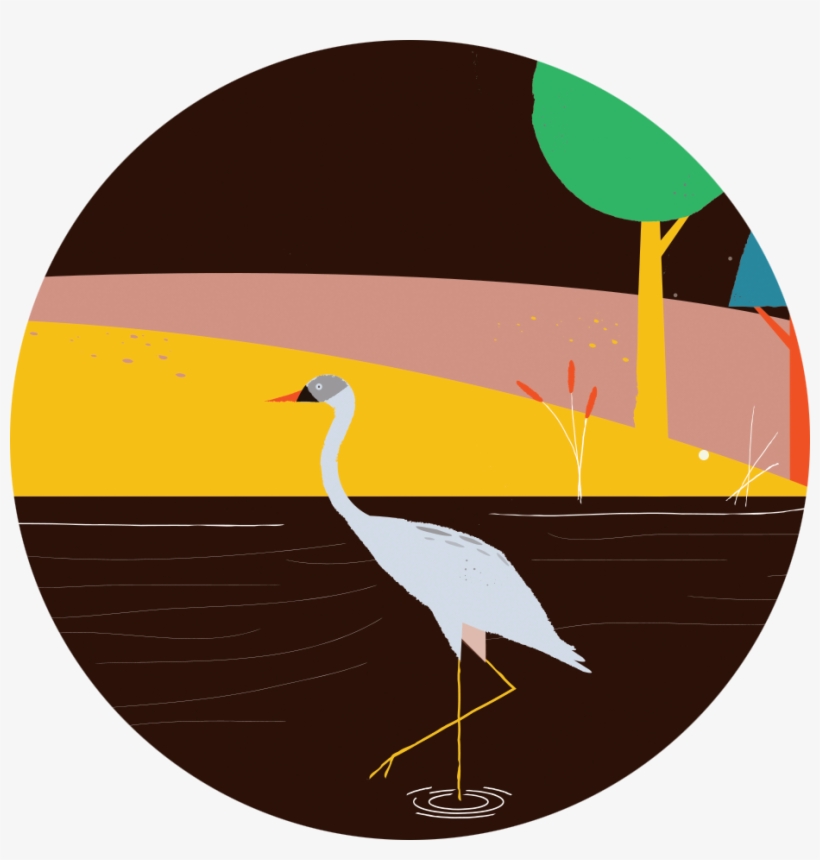 Tumblr O52qqncuhf1s76jyzo1 1280 - White Stork, transparent png download