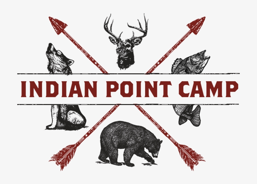 Grizzly Bear, transparent png download