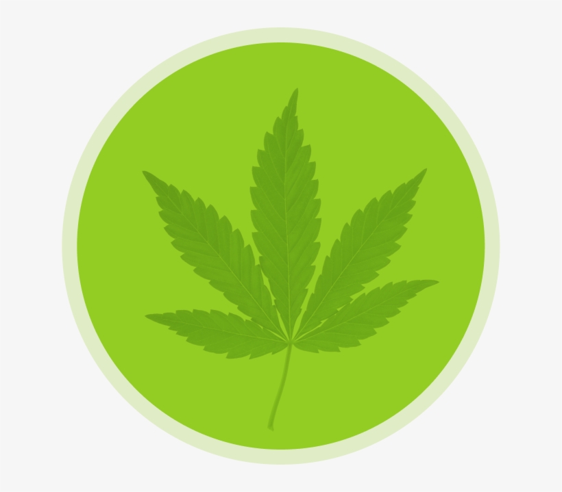 Your Go-to Source For Medical Marijuana In Southern - Sticker, transparent png download