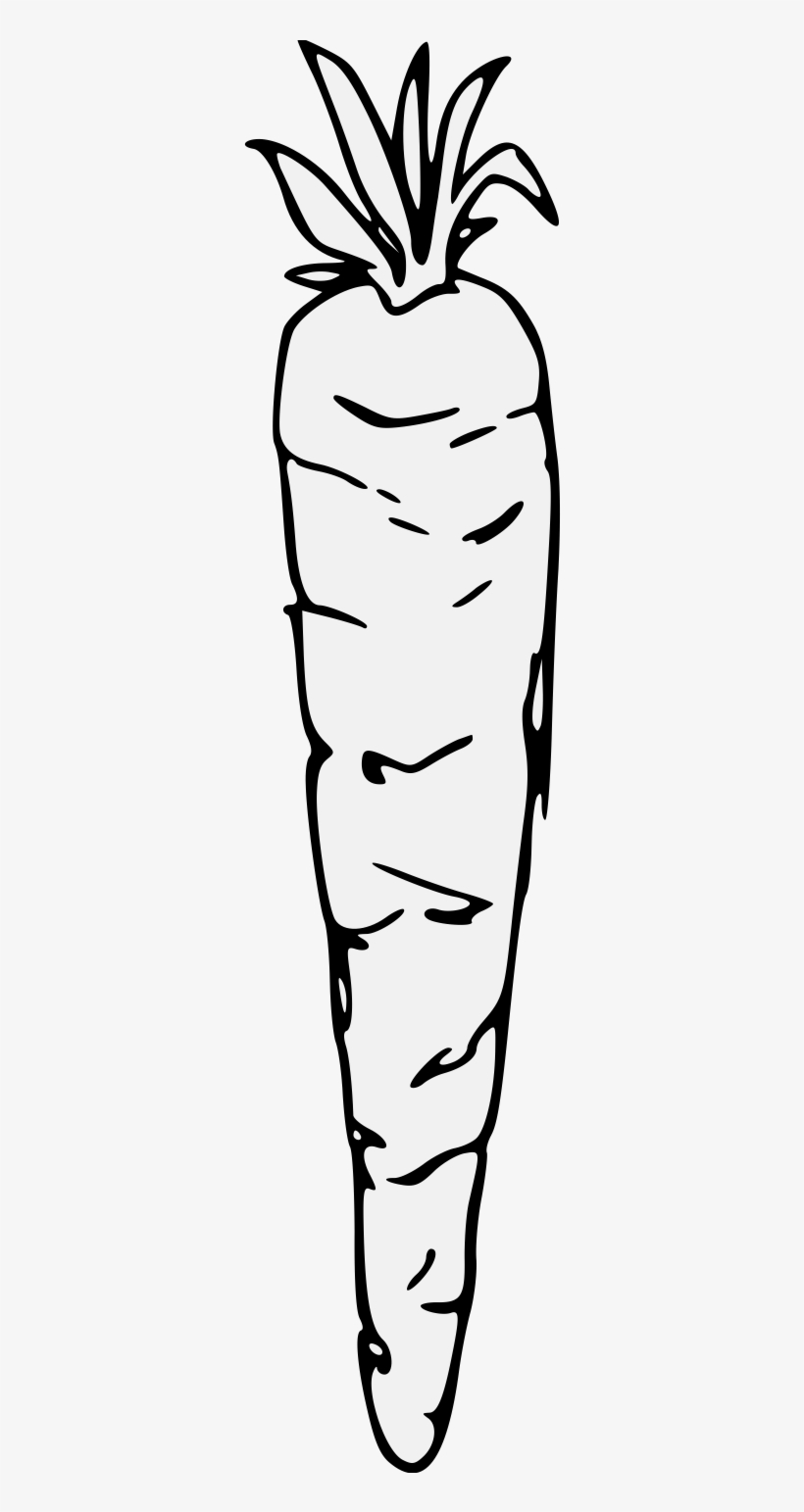 Carrot, transparent png download