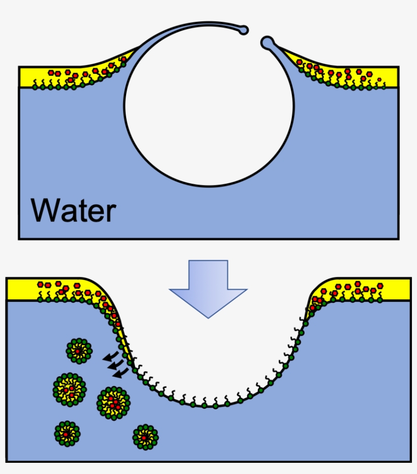 Curvature Suppresses The Rayleigh-taylor Instability - Bem Its, transparent png download
