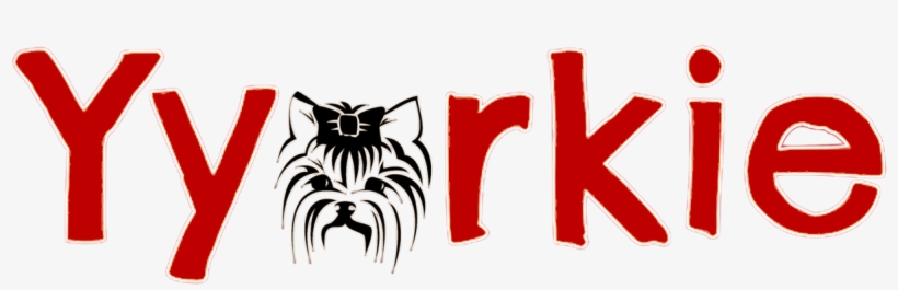 Yorkshire Terrier, transparent png download
