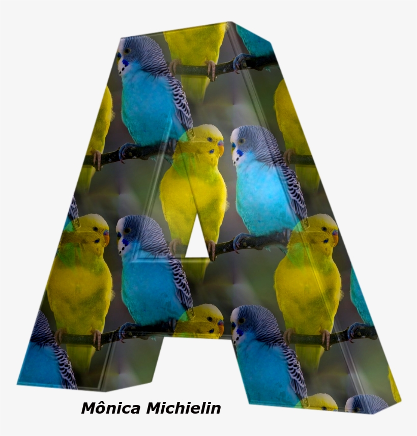 Alfabeto Periquito Australiano Png - Blue And Yellow Birds, transparent png download