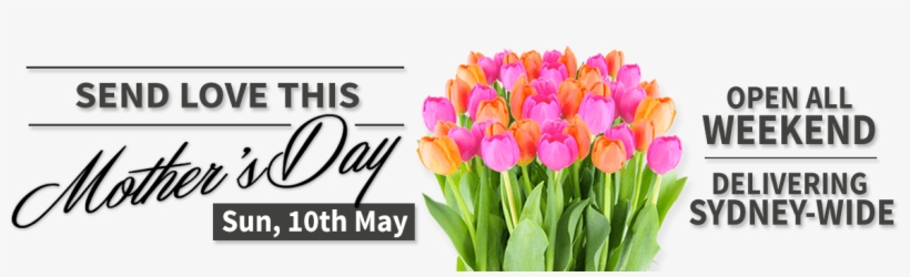 Urban Flower Send Flowers Secure Online Ordering Pure - 台灣 精品 獎, transparent png download