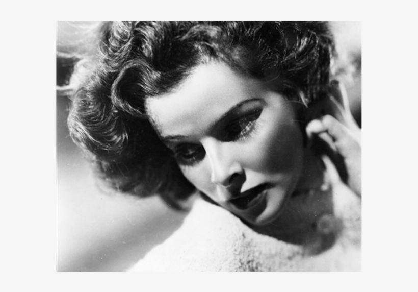 Celebrity Cheekbones Cheek Color Makeup The Beauty - Katharine Hepburn, transparent png download