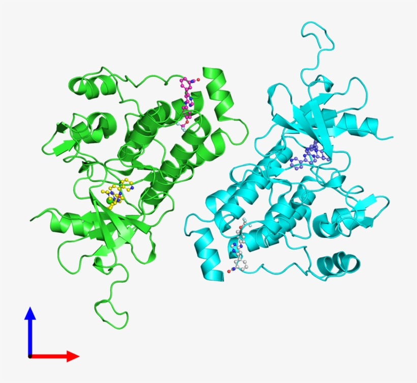 Ribbon Structure Of 3k5v - Illustration, transparent png download