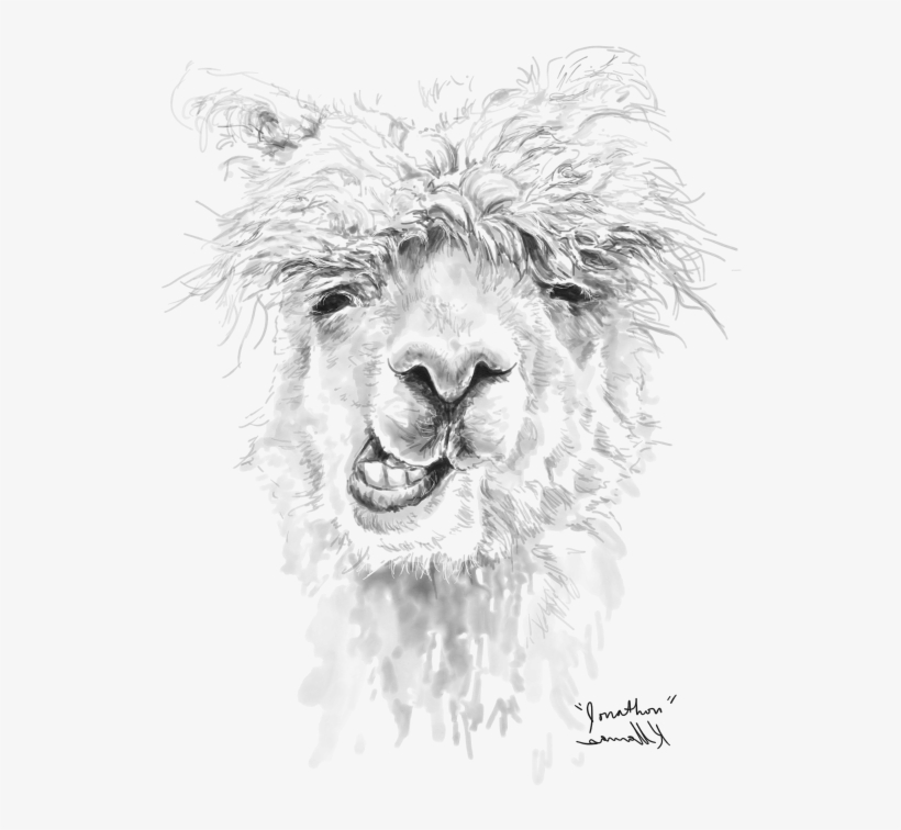 Carrie Mills - - Sketch, transparent png download