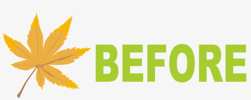 Emails Us - Info@graduatemall - Com - Before And After Typography, transparent png download