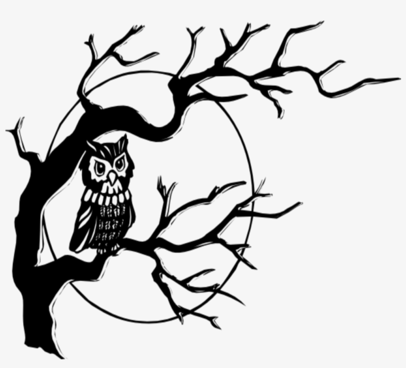 Mq Sticker - Owl On A Branch Drawing, transparent png download