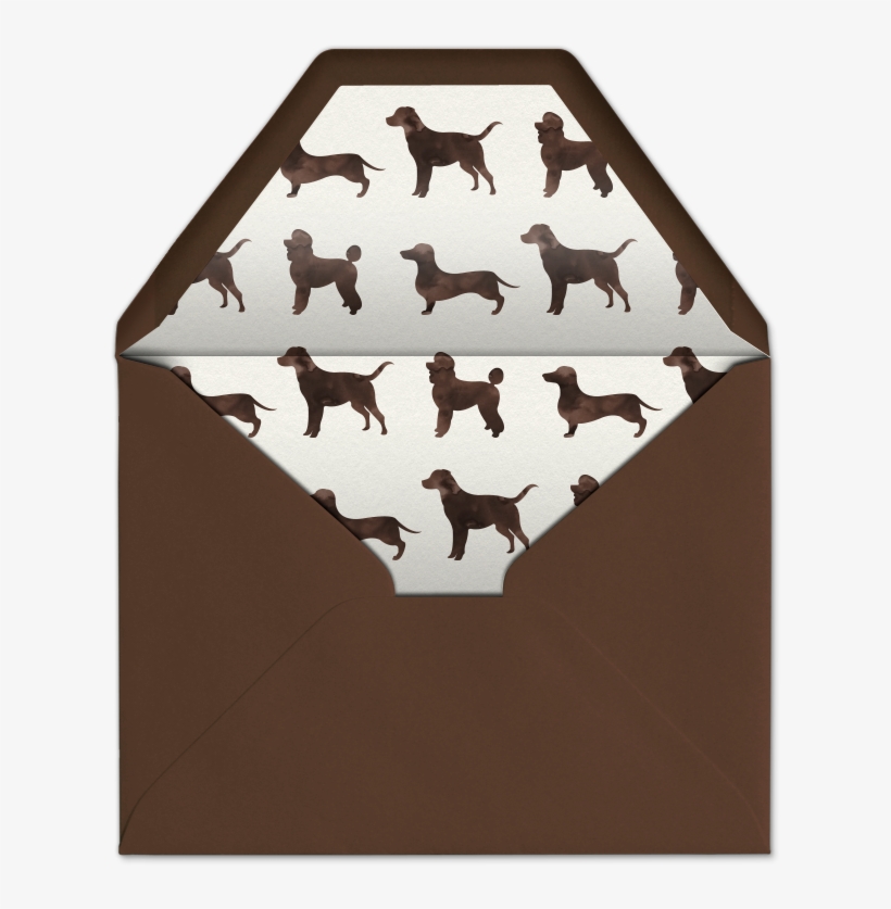 What Is Premium - Grizzly Bear, transparent png download