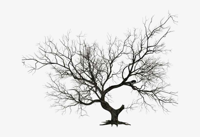 Gate Clipart Graveyard Gate - Halloween Tree Clipart Png, transparent png download