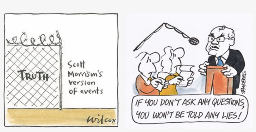 Cartoon By Cathy Wilcox - Cartoon, transparent png download