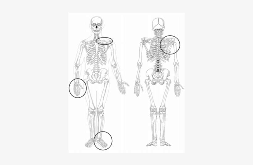 #jbjsreviews Hashtag On Twitter - Sketch, transparent png download