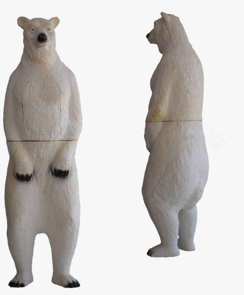 Polar Bear, transparent png download