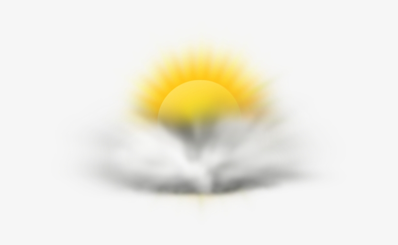 6 - Oxeye Daisy, transparent png download