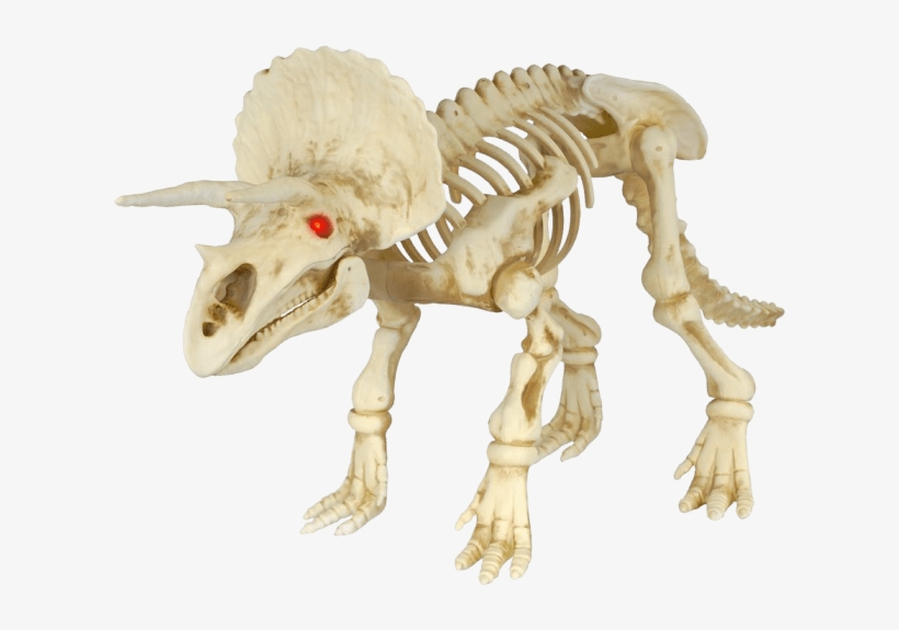 Dinosaur Skeleton Halloween Decoration, transparent png download