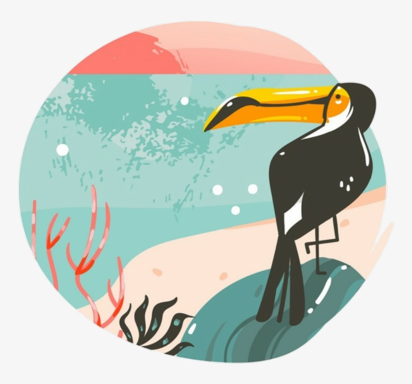 Freetoedit Ftesticker Tucan Summer Summervibes Beach - Illustration, transparent png download