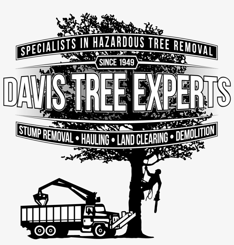 Davis Tree Experts - Illustration, transparent png download