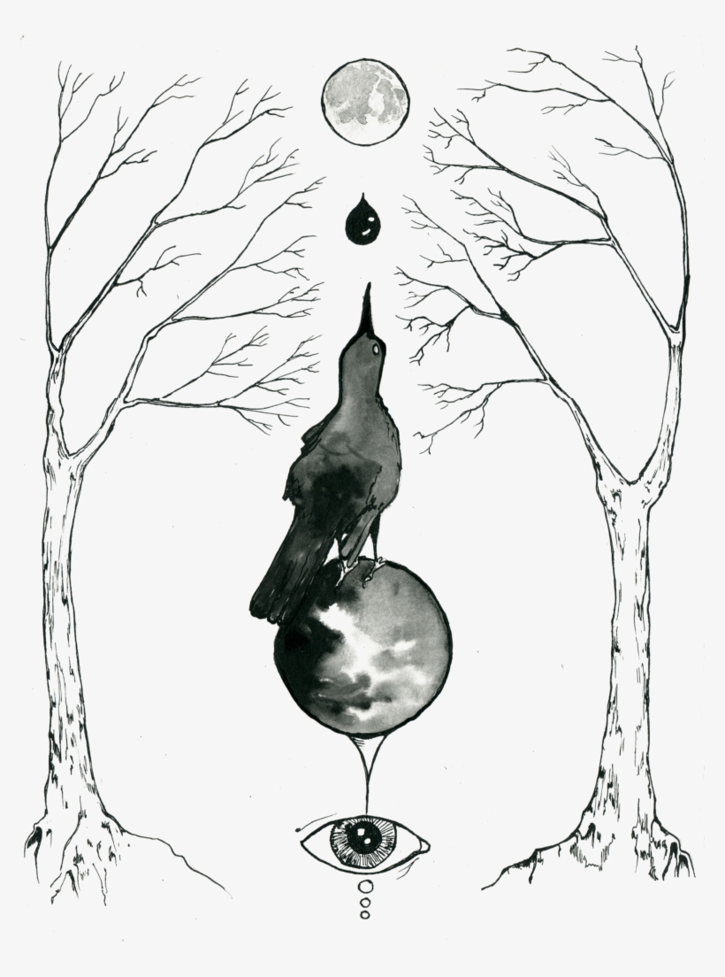 A Magical Grackle Ink Drawing By Scott Myst - Grackle Occult, transparent png download
