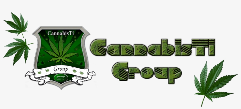 Label, transparent png download