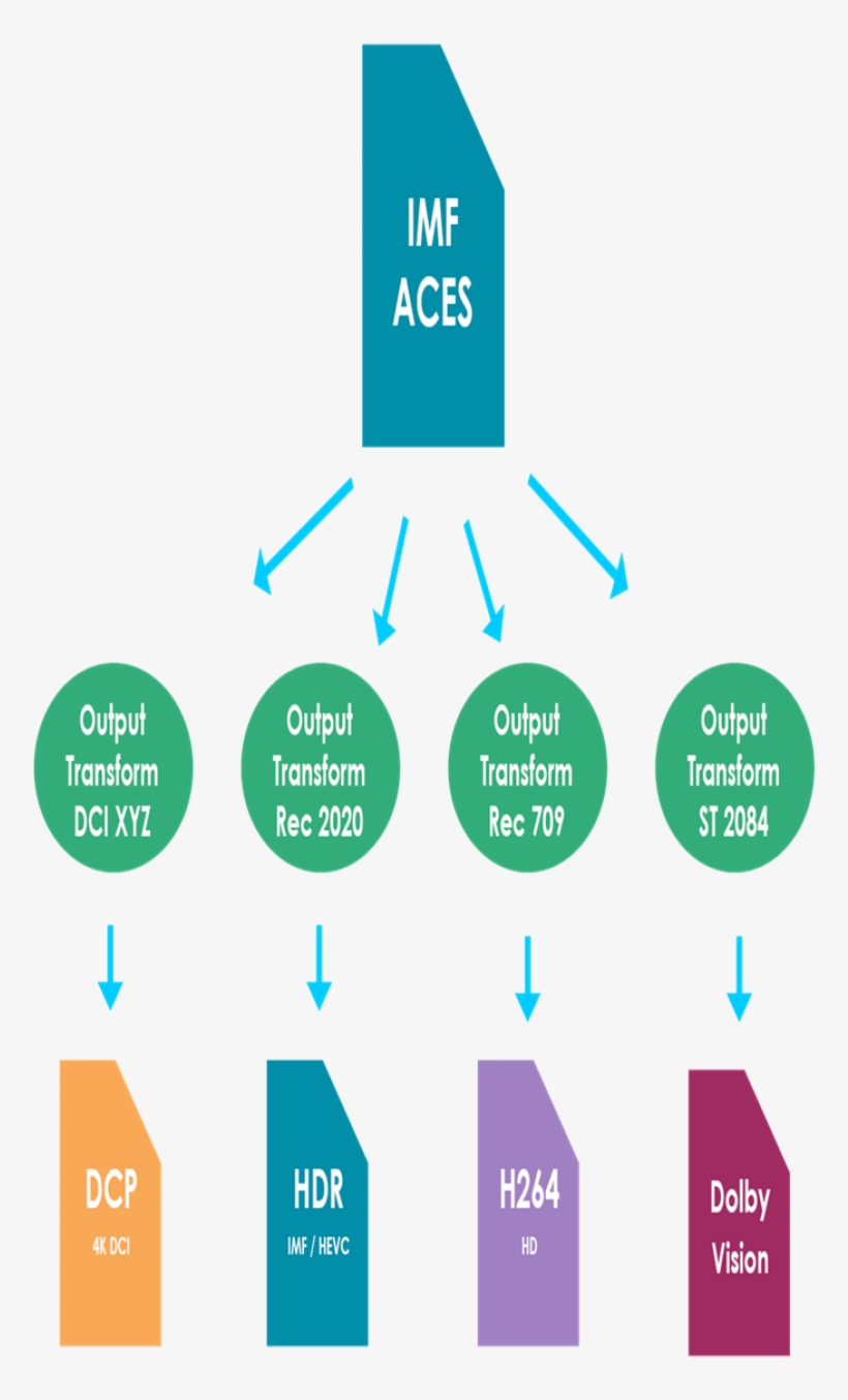 Imf Workflows Supported By Mist - Diagram, transparent png download