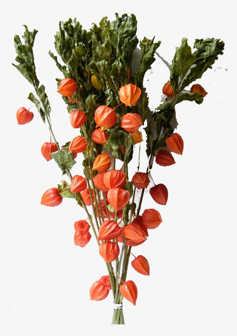 Artificial Flower, transparent png download