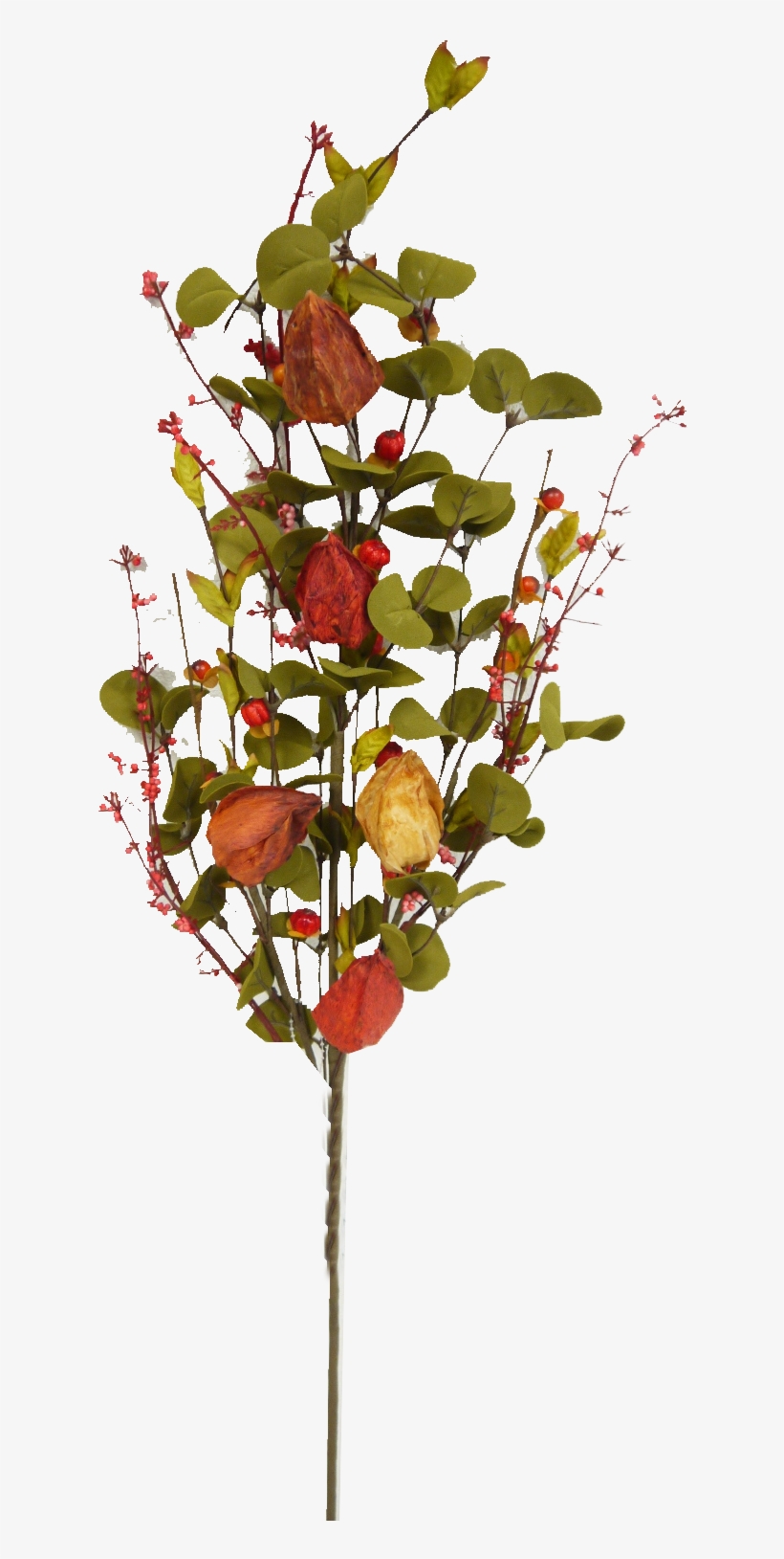 Garden Roses, transparent png download
