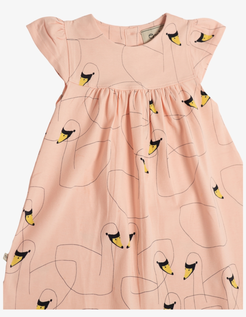 Owl, transparent png download