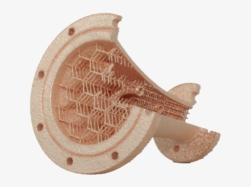 State Of The Art Is To Functionalize An Inert Three - Electric Ray, transparent png download