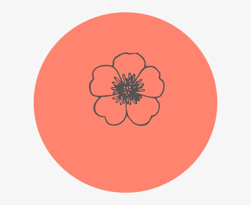 Poppy Png, transparent png download