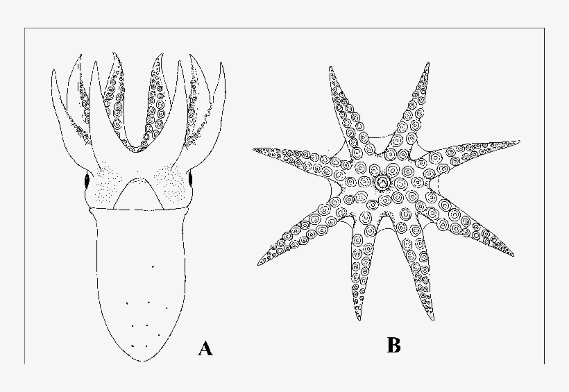 -type - Line Art, transparent png download