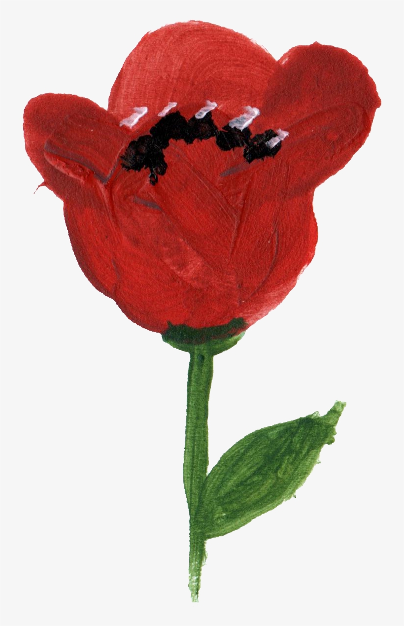 Free Download - Tulip, transparent png download