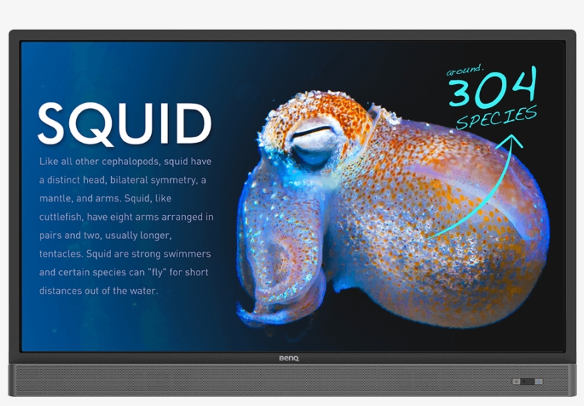 4k Uhd 55” Education Interactive Flat Panel Display - Benq 55 Inch 4k, transparent png download