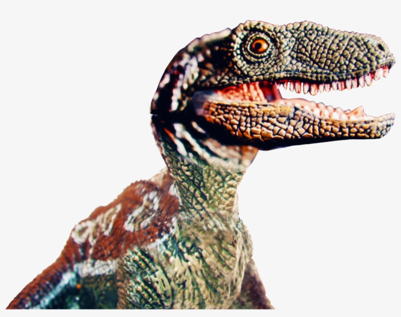 In Our Campaign We Show How Old Spice Will Allow You - Velociraptor, transparent png download