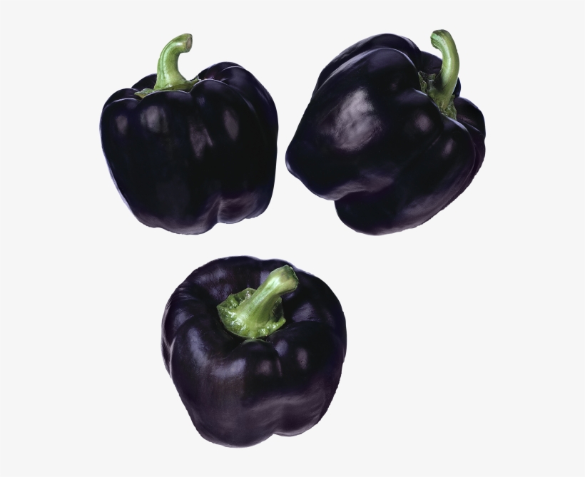 Black Pepper - Purple Peppers, transparent png download