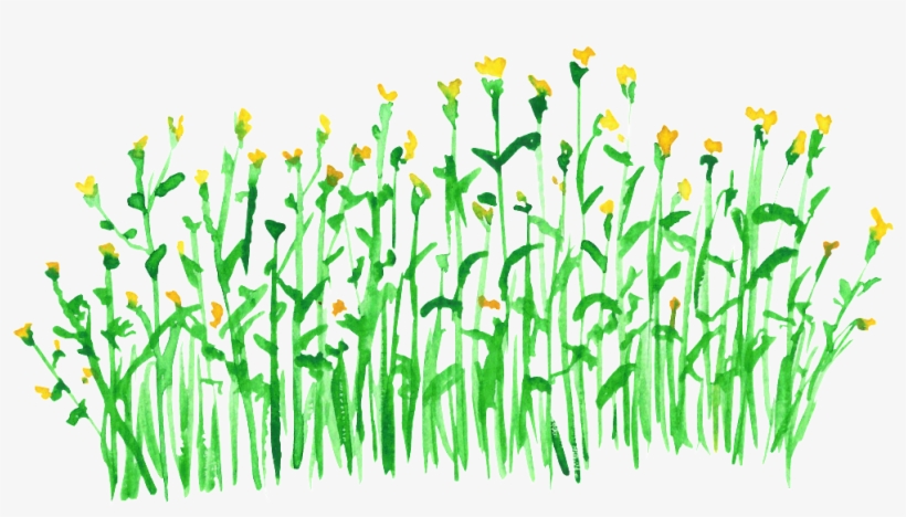 Golden Wheat Transparent Decorative, transparent png download