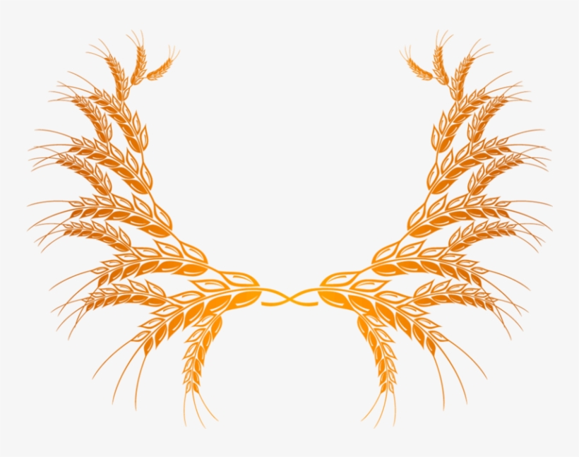 Wheat Vector Clipart - Колоски Пшеницы Пнг, transparent png download