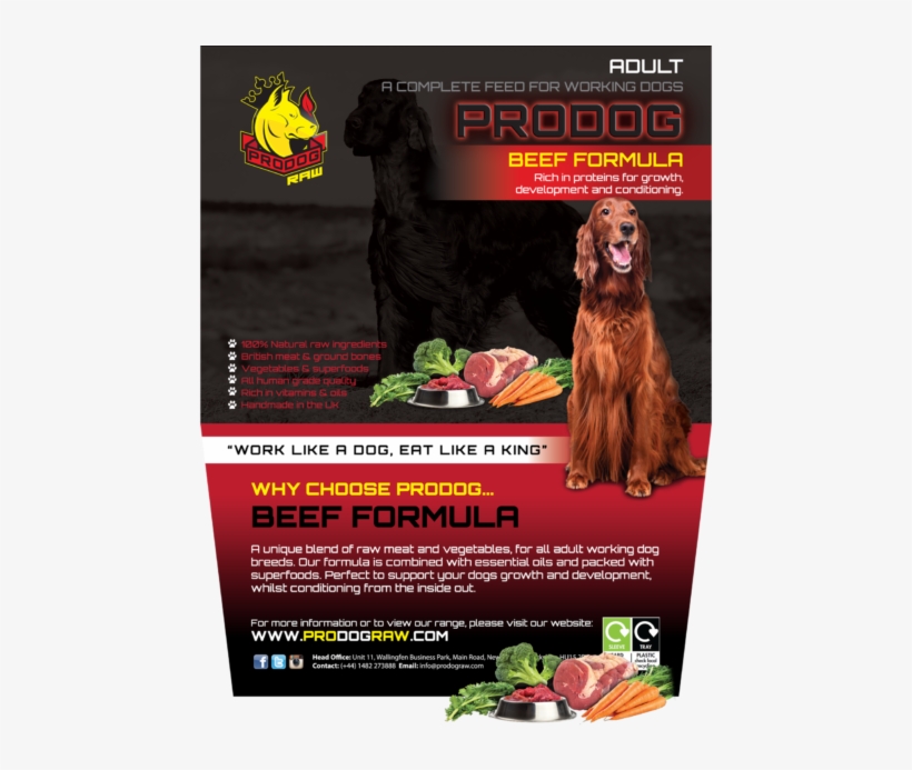 Companion Dog, transparent png download