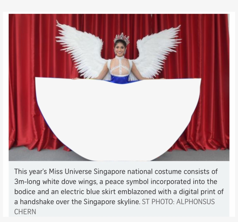Png, Time To Meme - Miss Universe Singapore 2018, transparent png download