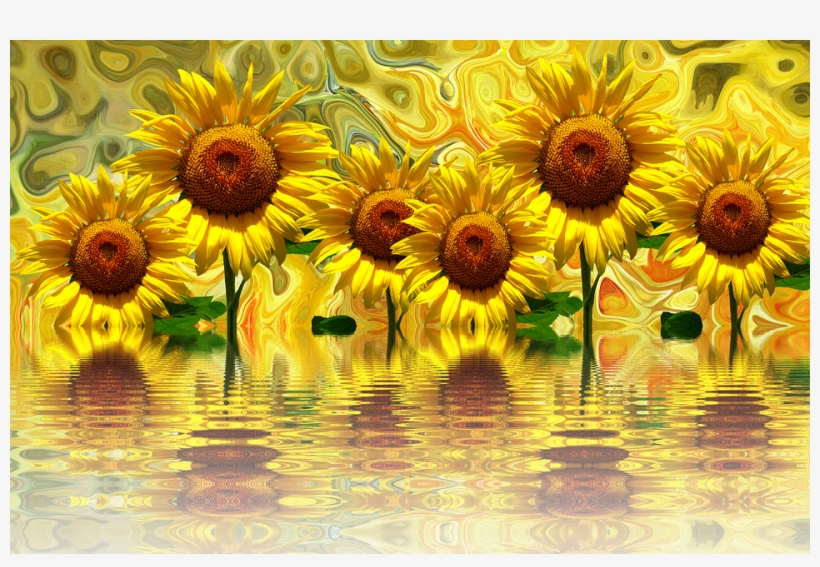 Girasoles Png - Imagenes De Girasoles Png, transparent png download
