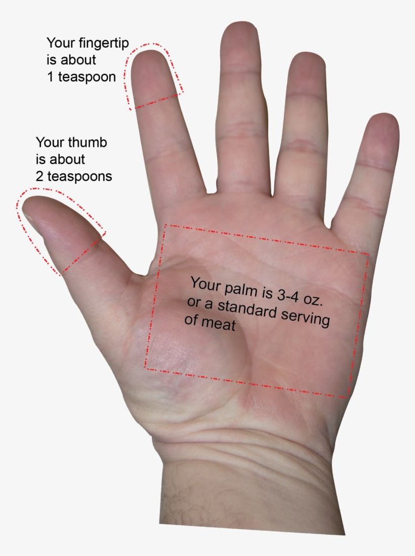 Fist= 1 Cup - Sign, transparent png download