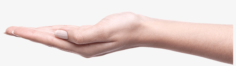 Understand How Your Lifestyle Habits Impact Your Body - Leather, transparent png download