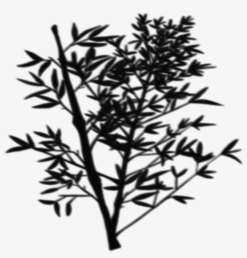 Twig, transparent png download
